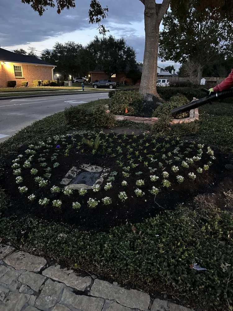 Expert residential landscaping experts serving Pearland, TX - Bloomtex Services