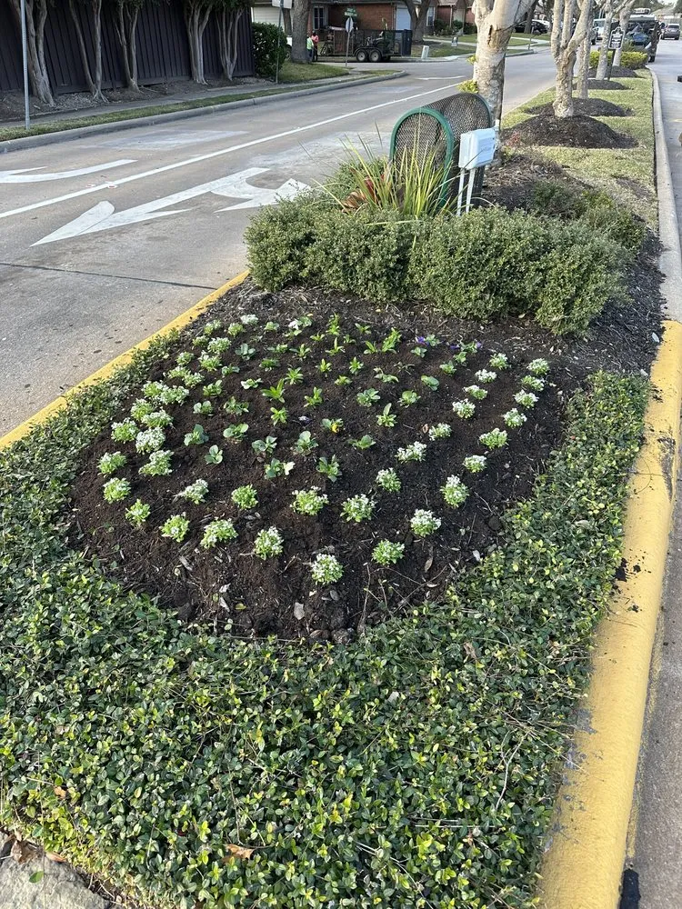 Top-rated residential landscaping experts serving Pearland, TX - Bloomtex Services