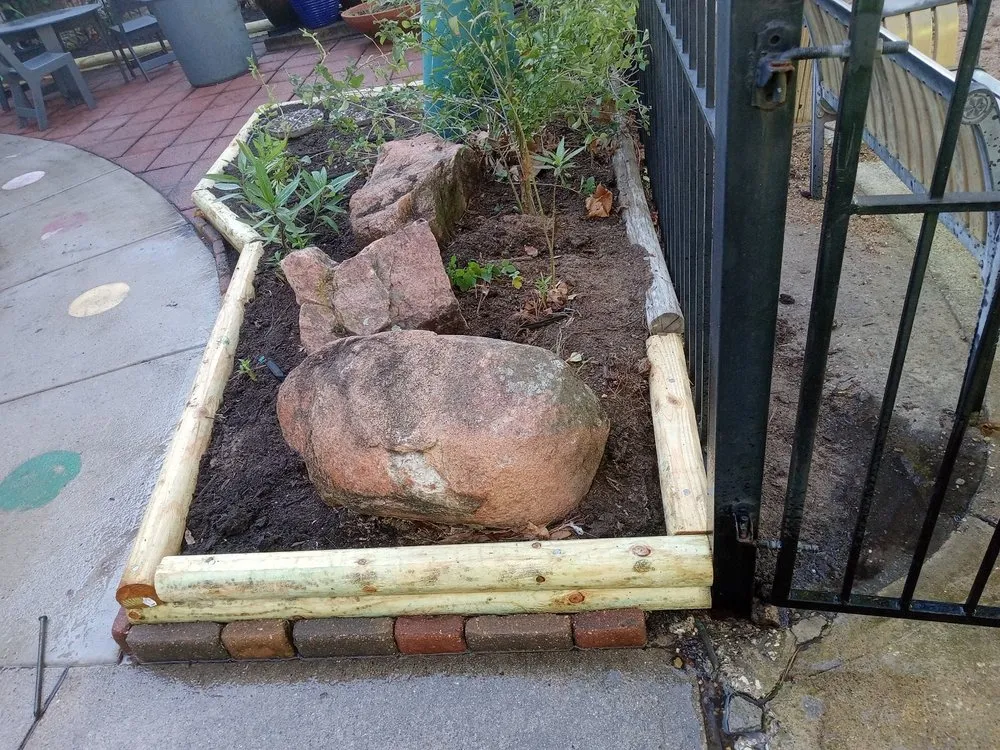 Trusted yard cleanup service near you in Pearland, TX by Bloomtex Services