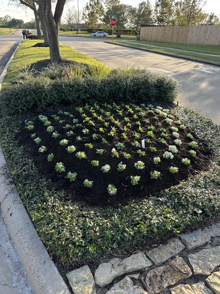 Professional yard cleanup service experts serving Pearland, TX - Bloomtex Services