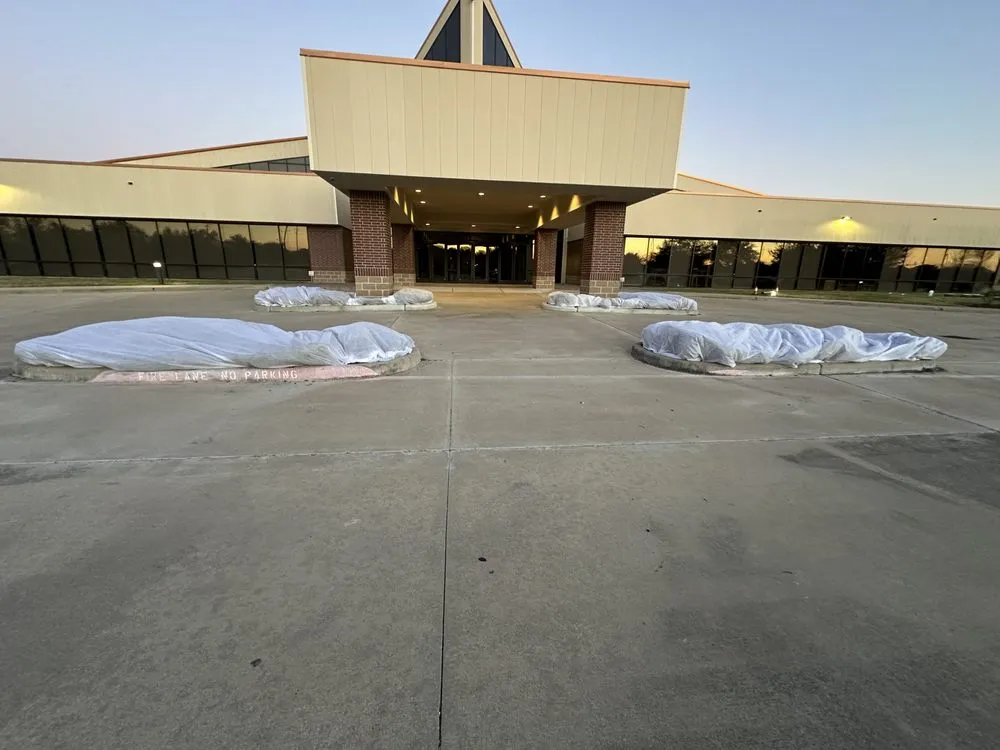 Reliable garden landscaping with custom design across Pearland, TX - Bloomtex Services