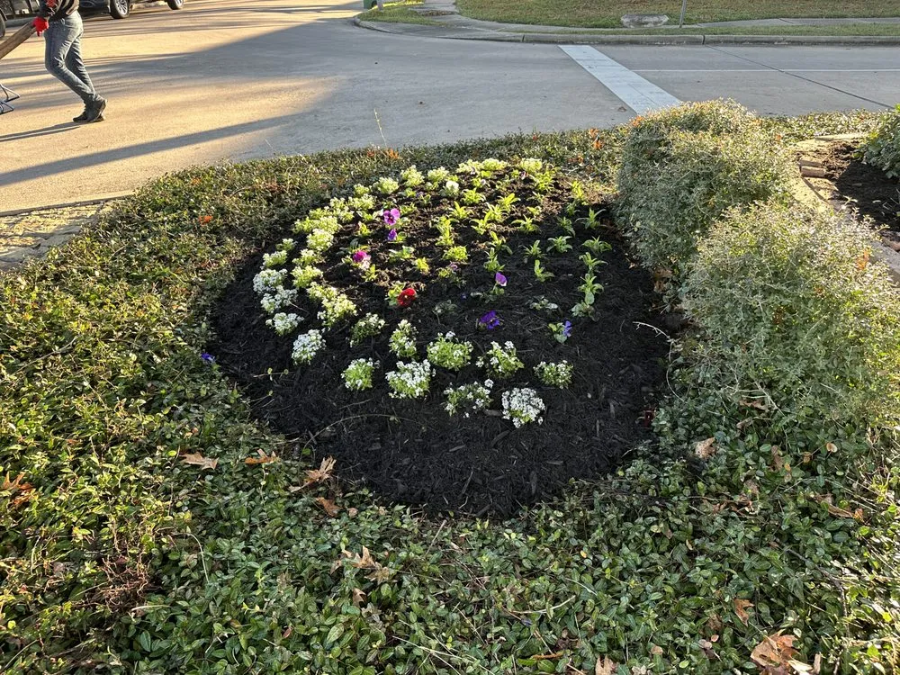 Reliable garden landscaping in Pearland, TX - Bloomtex Services