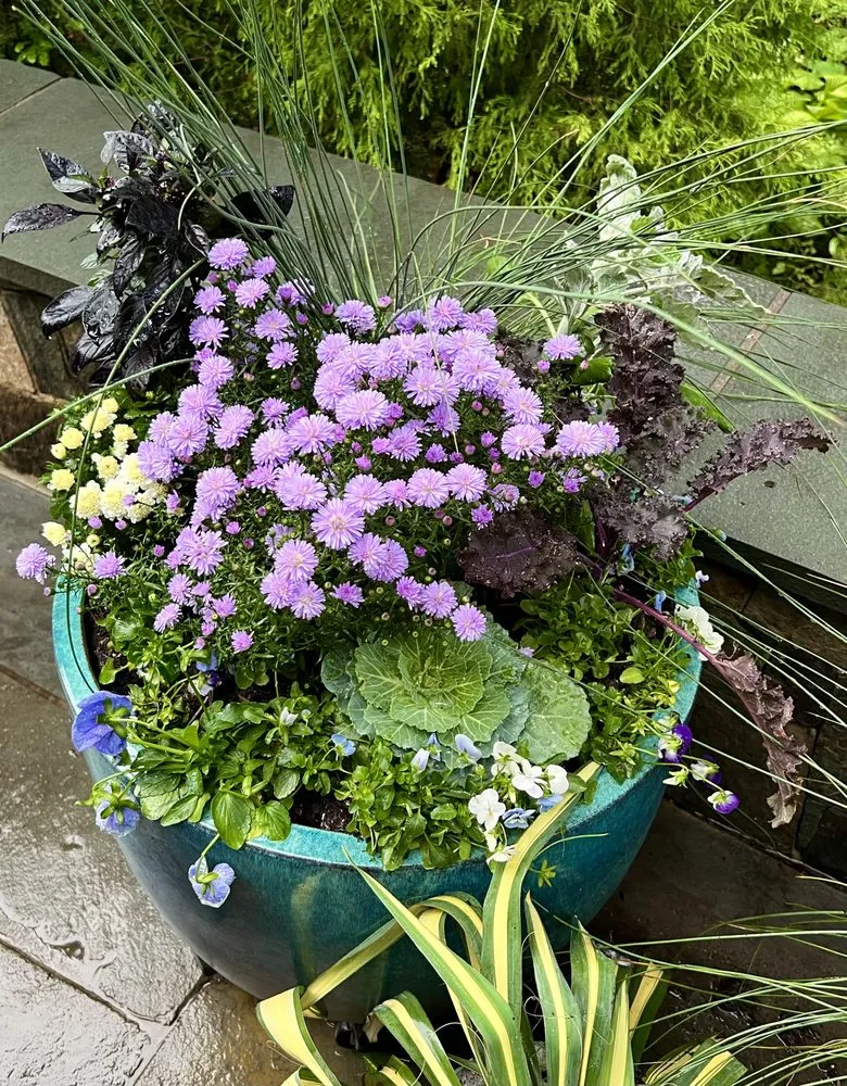 Local lawn mowing service in Chantilly, VA by Bloomy Day Garden Services