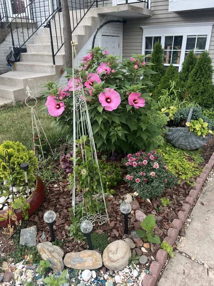 Top-rated lawn mowing service in Chantilly, VA - Bloomy Day Garden Services