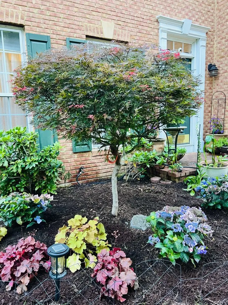 Reliable landscape installation in Chantilly, VA - Bloomy Day Garden Services