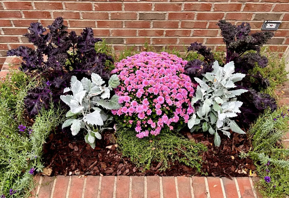 Professional garden landscaping for beautiful yards across Chantilly, VA - Bloomy Day Garden Services