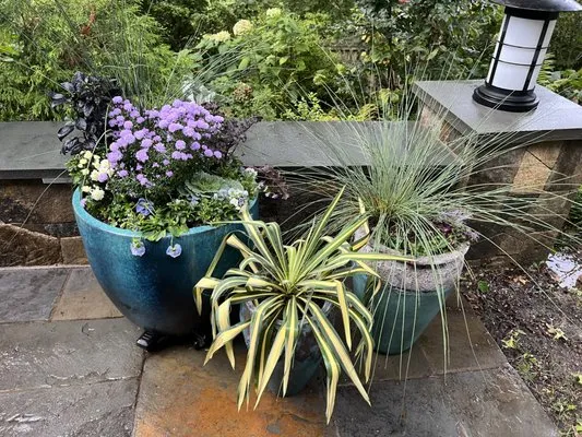 Bloomy Day Garden Services