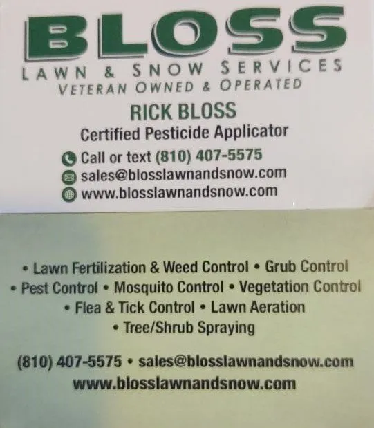 Expert landscape design in Swartz Creek, MI - Bloss Lawn And Snow Services