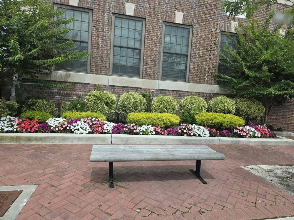 Reliable landscape installation for outdoor upgrades across Valley Stream, NY - Blossom & Bark Lawn Care