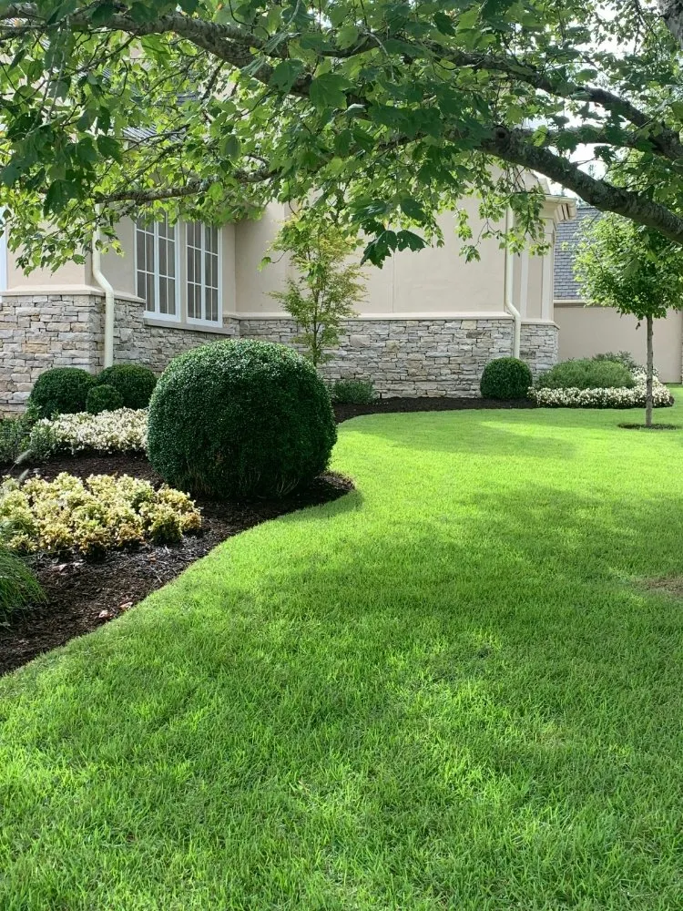 Trusted landscape design near you in Valley Stream, NY by Blossom & Bark Lawn Care