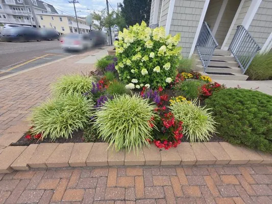 Blossom & Bark Lawn Care