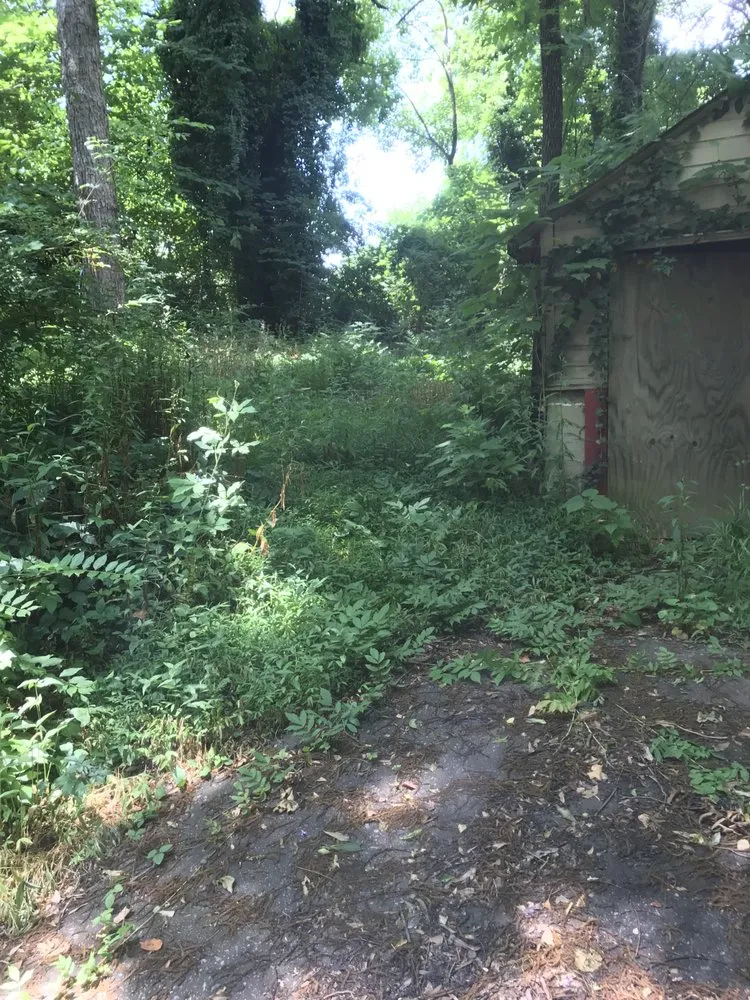 Expert landscaping services in Palmetto, GA - Blossom and Sage Landscapes