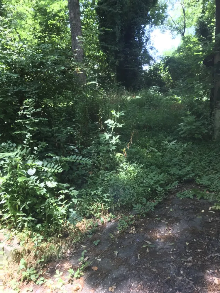 Expert outdoor landscaping experts serving Palmetto, GA - Blossom and Sage Landscapes