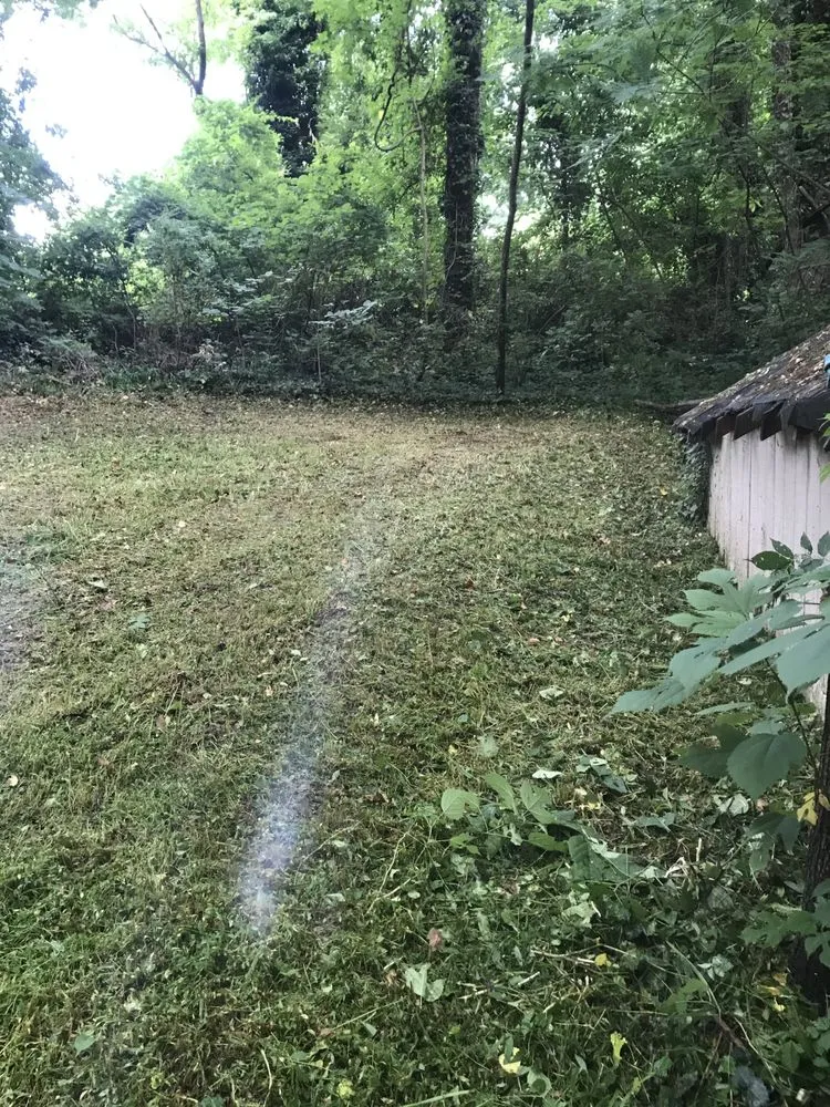 Professional lawn care service in Palmetto, GA by Blossom and Sage Landscapes