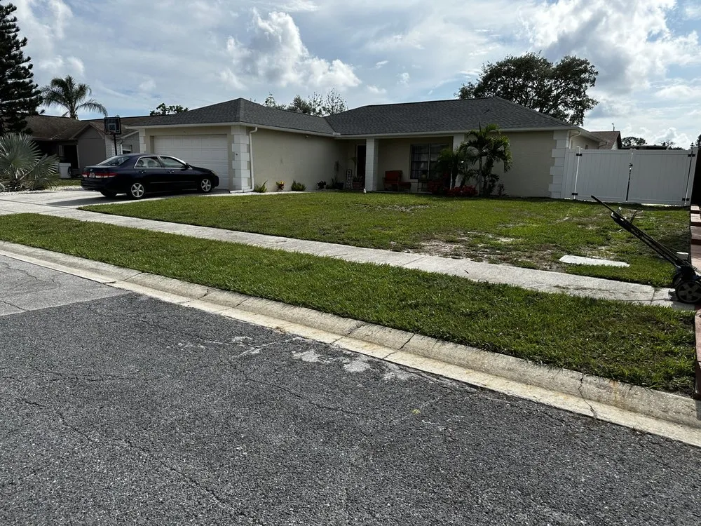 Custom landscaping services experts serving Holiday, FL - Blossom and stone landscaping