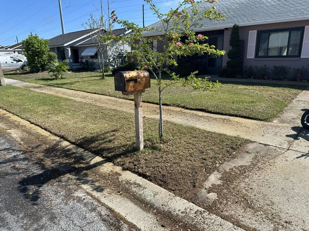 Custom landscaping services experts serving Holiday, FL - Blossom and stone landscaping