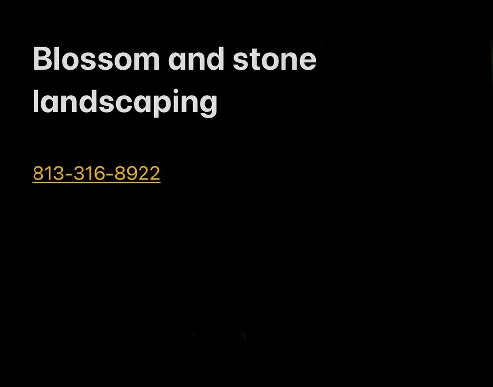 Expert lawn care service in Holiday, FL by Blossom and stone landscaping