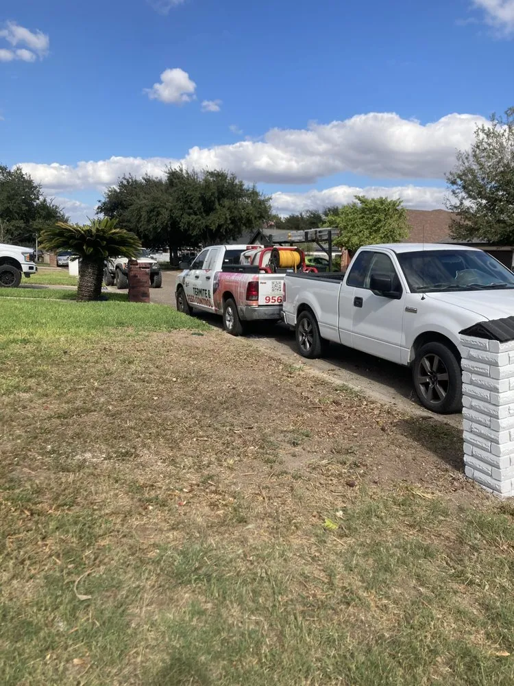 Trusted yard maintenance in Elsa, TX - Blossom Garden Services