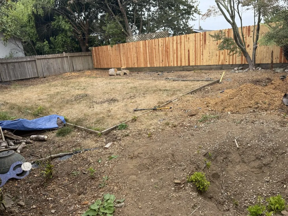 Expert lawn care service in Eureka, CA by Blossom Landscaping & Handyman Service