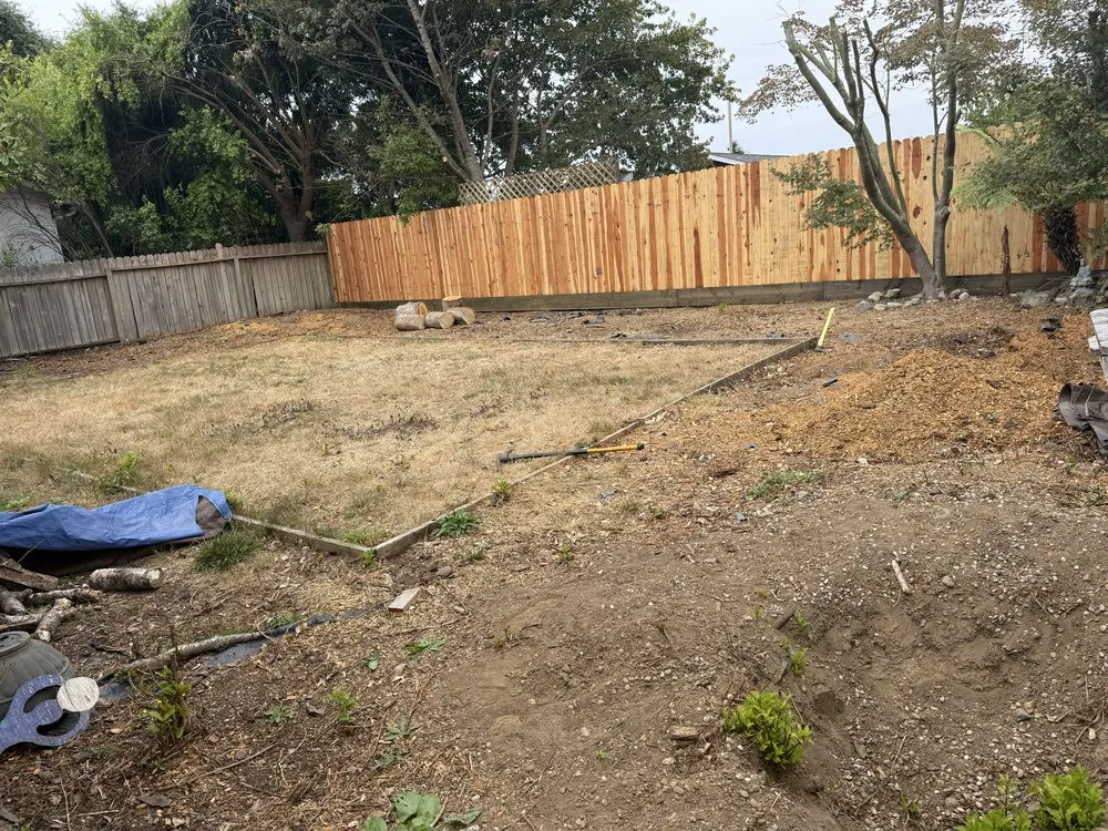 Top-rated lawn mowing service experts serving Eureka, CA - Blossom Landscaping & Handyman Service