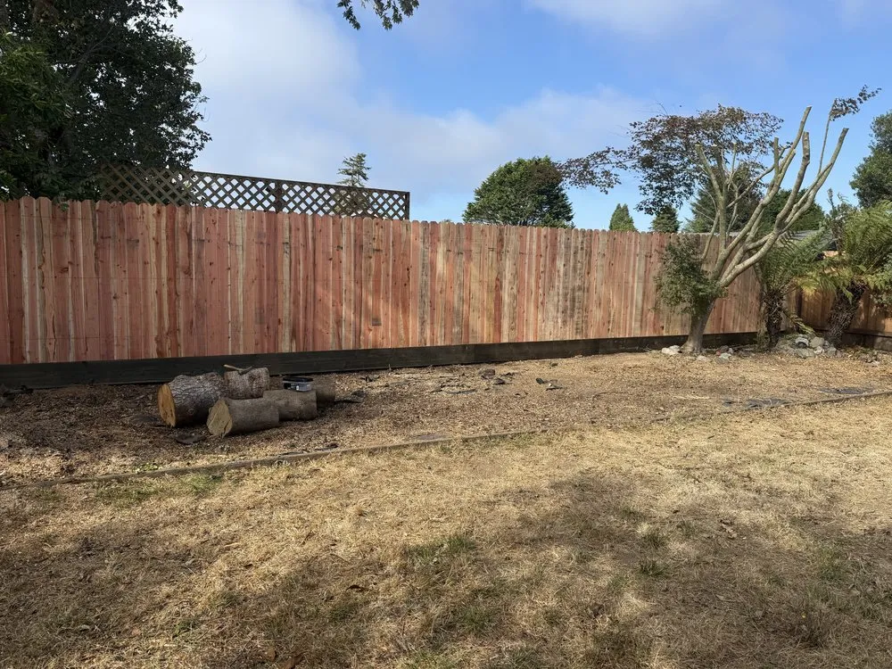 Professional garden landscaping in Eureka, CA - Blossom Landscaping & Handyman Service