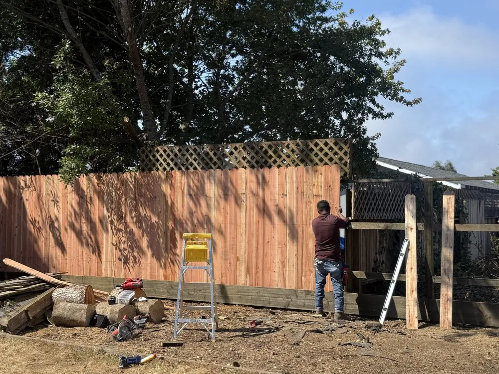 Affordable garden landscaping in Eureka, CA - Blossom Landscaping & Handyman Service