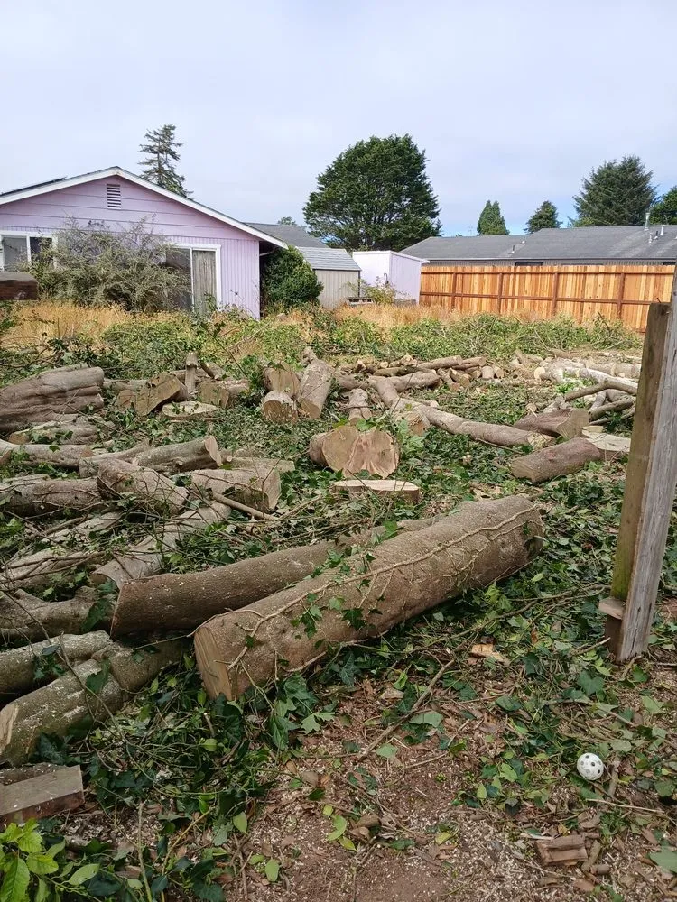 Custom lawn mowing service in Eureka, CA - Blossom Landscaping & Handyman Service