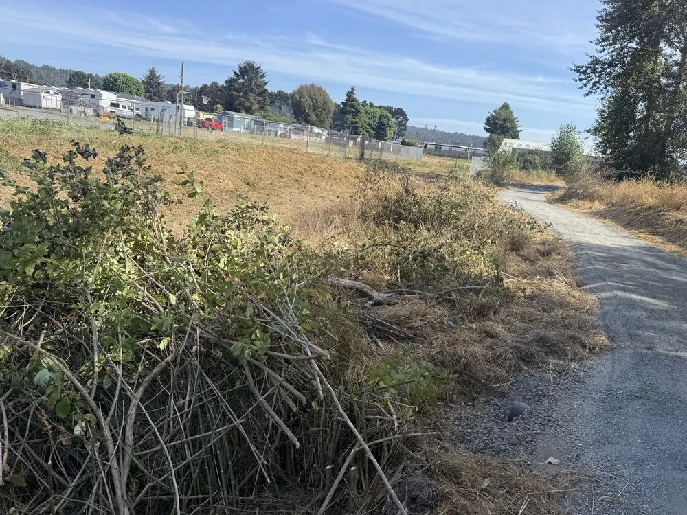 Trusted residential landscaping in Eureka, CA - Blossom Landscaping & Handyman Service