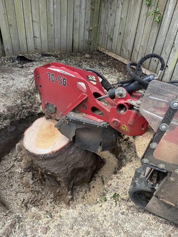 Expert garden landscaping near you across Eureka, CA - Blossom Landscaping & Handyman Service