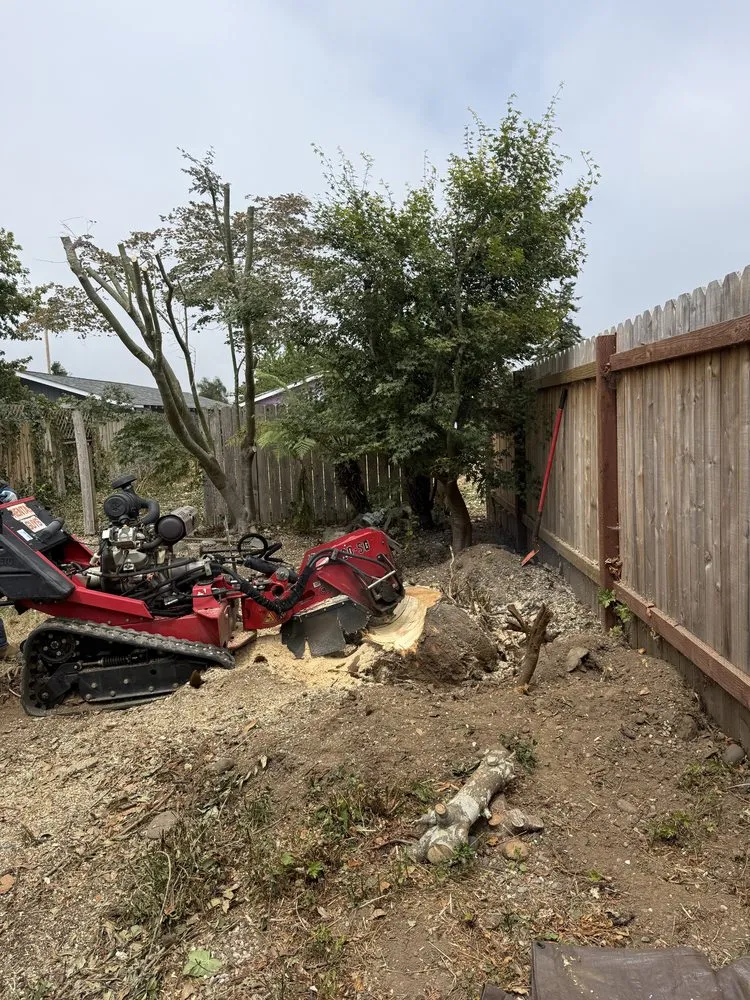 Reliable garden landscaping experts serving Eureka, CA - Blossom Landscaping & Handyman Service