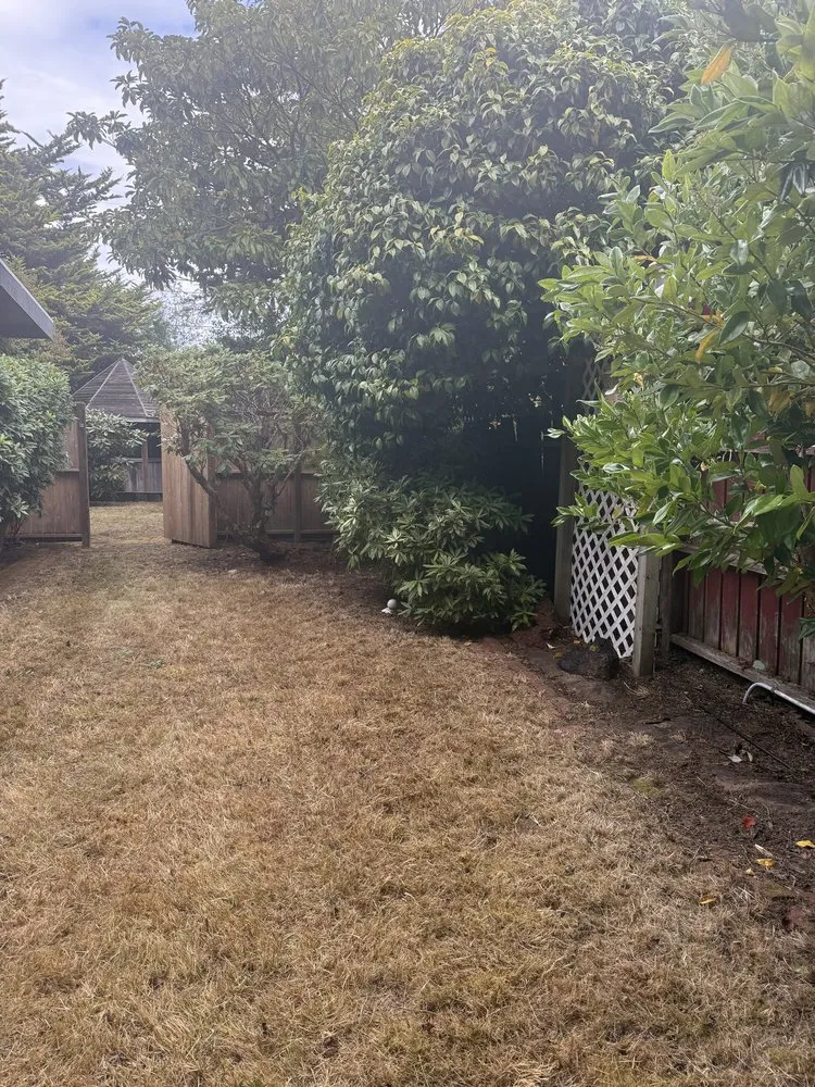 Trusted residential landscaping near you in Eureka, CA by Blossom Landscaping & Handyman Service