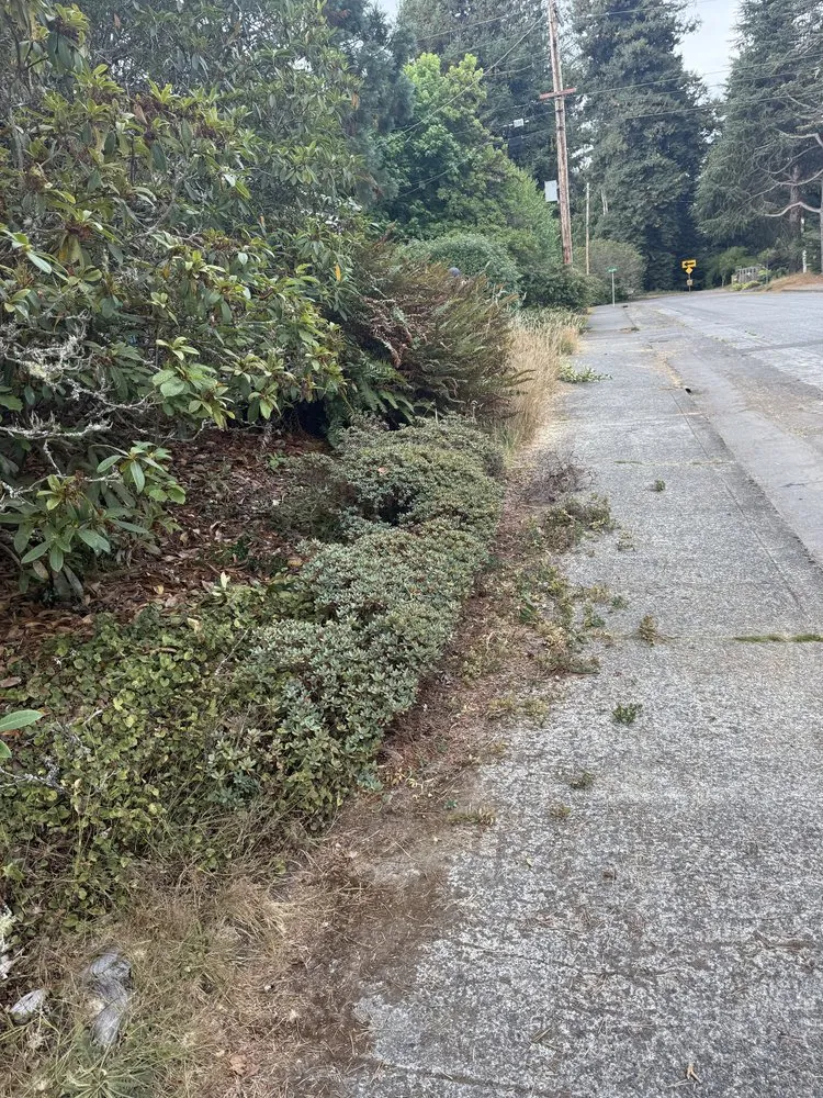 Local lawn mowing service experts serving Eureka, CA - Blossom Landscaping & Handyman Service