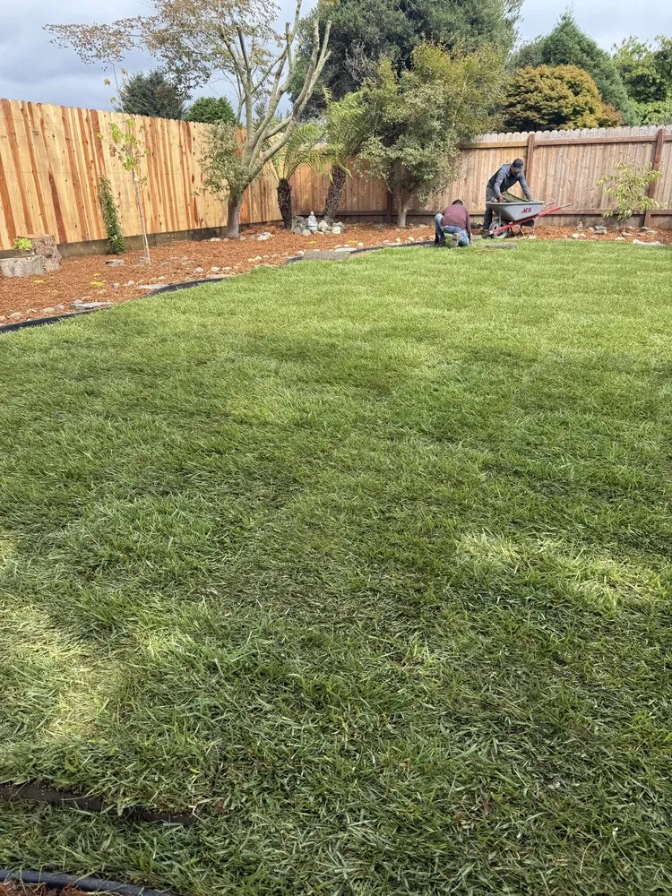Trusted landscape design in Eureka, CA - Blossom Landscaping & Handyman Service