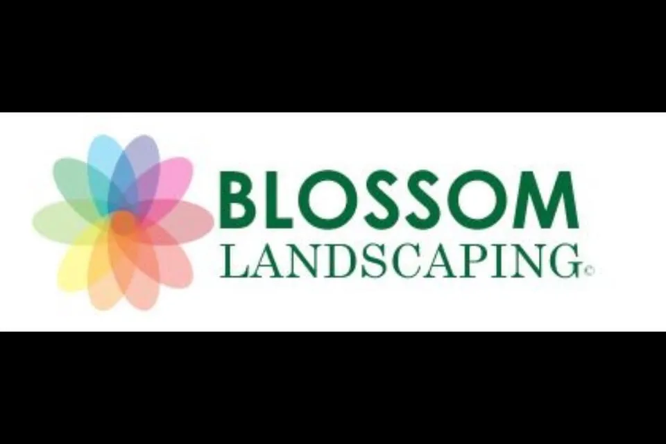 Custom landscaping services experts serving Mount Laurel, NJ - Blossom Landscaping