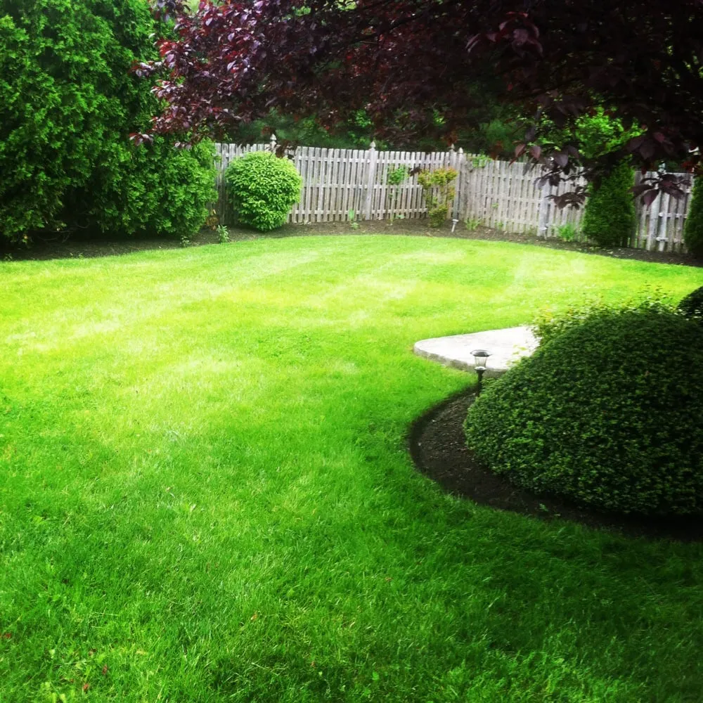 Top-rated landscape design in Mount Laurel, NJ by Blossom Landscaping