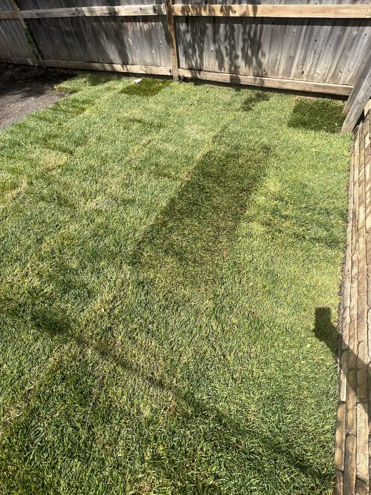 Custom landscape installation near you across Milwaukee, WI - Blossom Lawn Care