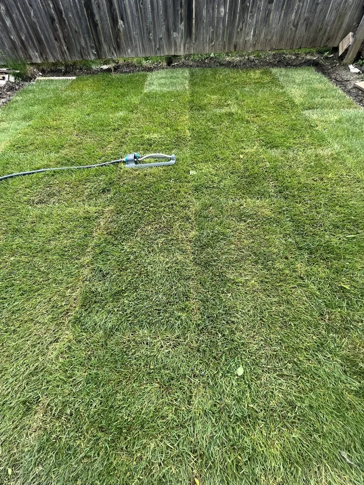 Affordable yard cleanup service experts serving Milwaukee, WI - Blossom Lawn Care