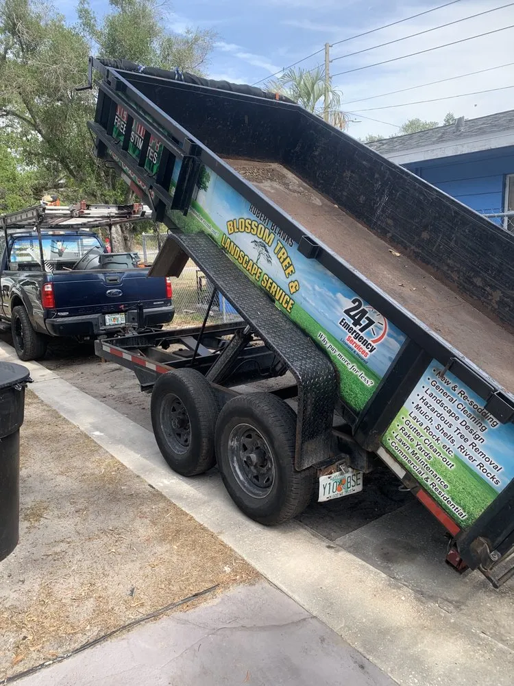 Professional residential landscaping in St. Petersburg, FL by Blossom Tree & Landscape Service