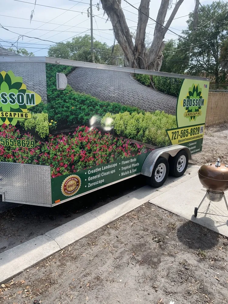 Affordable outdoor landscaping in St. Petersburg, FL - Blossom Tree & Landscape Service