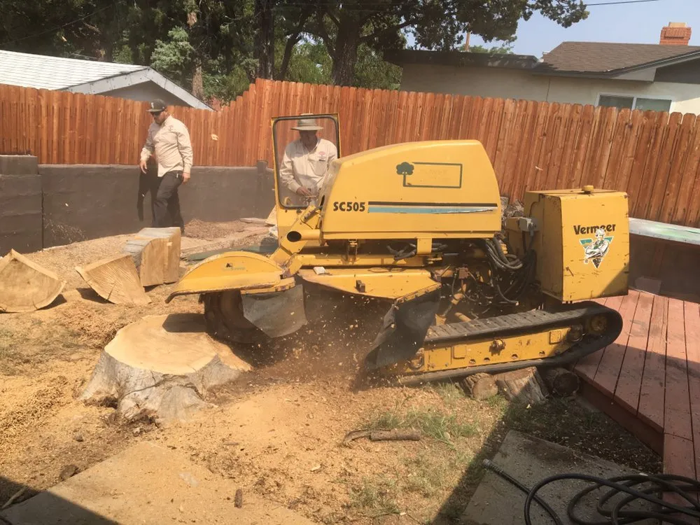 Professional landscape design near you in Albuquerque, NM by Blossom Trees