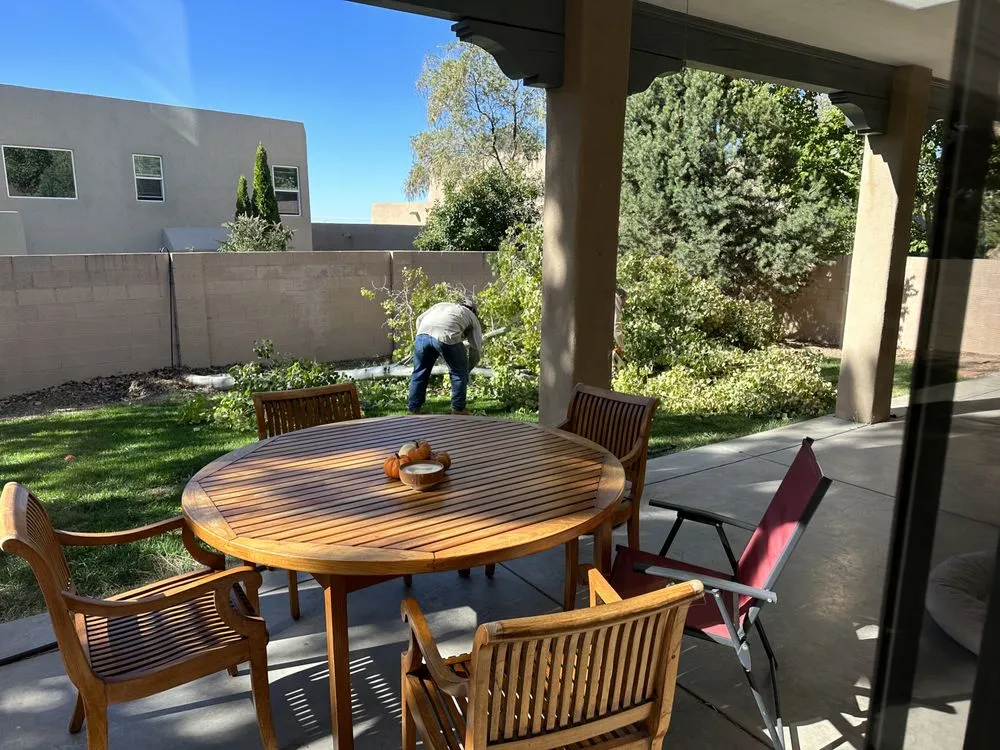 Affordable yard maintenance in Albuquerque, NM - Blossom Trees