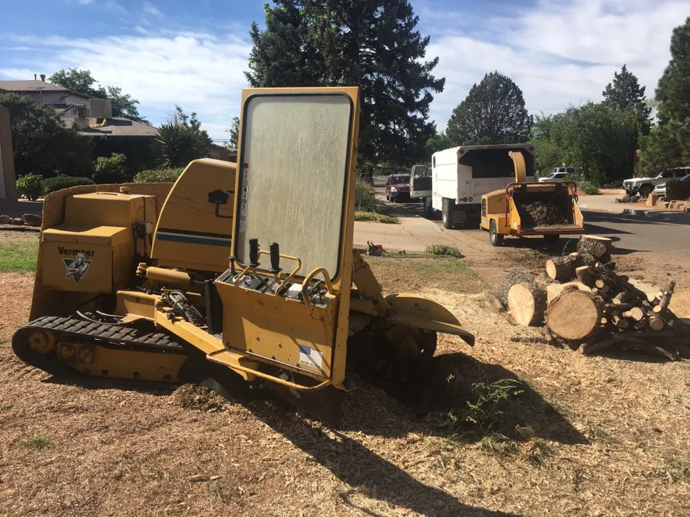 Affordable landscaping services in Albuquerque, NM by Blossom Trees