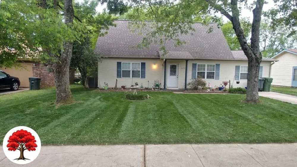 Reliable yard cleanup service in Lake City, FL - Blossomwood Lawn Care