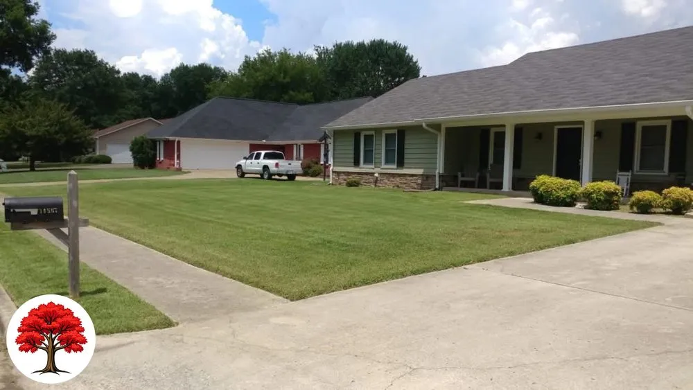 Expert yard maintenance for beautiful yards in Lake City, FL by Blossomwood Lawn Care