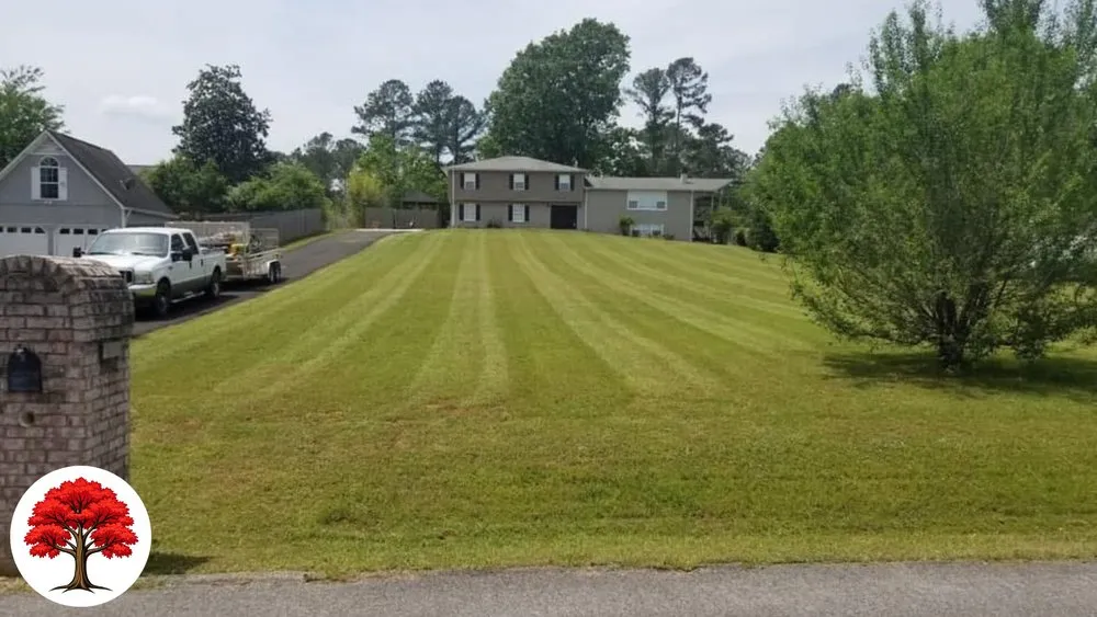 Custom lawn mowing service near you across Lake City, FL - Blossomwood Lawn Care