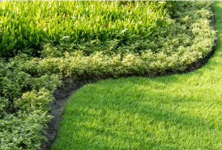 Trusted lawn mowing service near you in Maryville, TN by Blount TN - Lawn Care & Pressure Washing