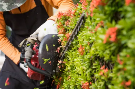 Trusted lawn care service for residential properties in Maryville, TN by Blount TN - Lawn Care & Pressure Washing