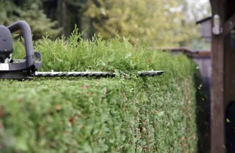 Top-rated lawn mowing service in Maryville, TN - Blount TN - Lawn Care & Pressure Washing