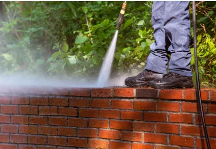 Expert yard cleanup service experts serving Maryville, TN - Blount TN - Lawn Care & Pressure Washing