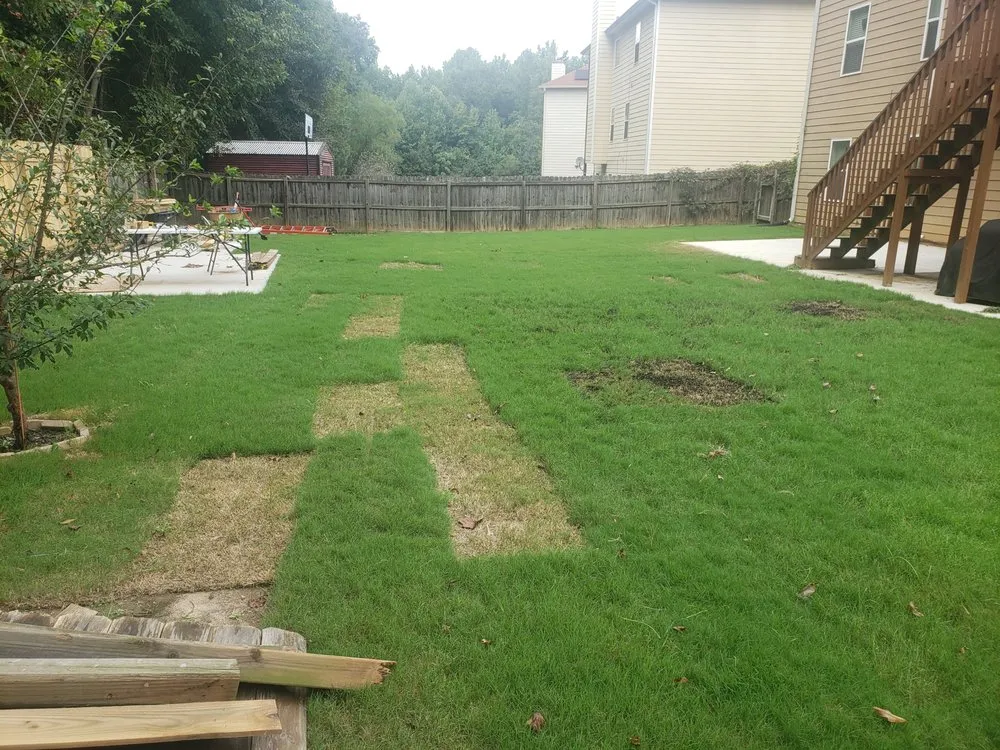 Top-rated yard cleanup service in Atlanta, GA - Blount’s Lawn Care Solutions